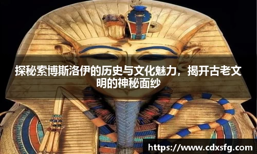 韦德体育官网